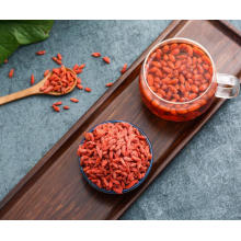 Frais baie de Goji séchée naturelle 100% naturelle / Wolfberry séchée